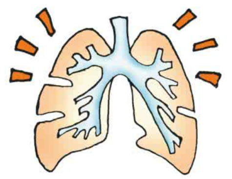 肺结节吃什么药能散结