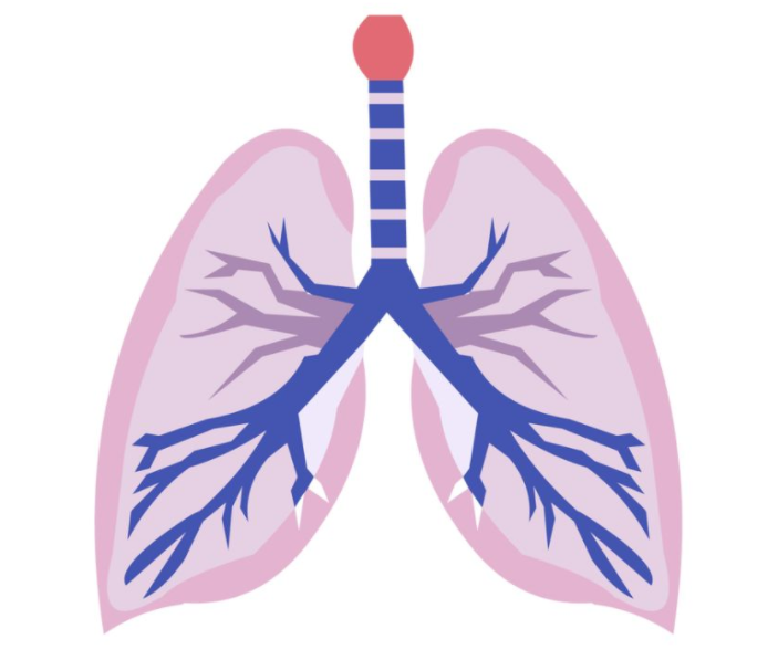 肺部有结节是怎么回事？要紧吗？