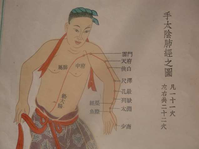 肺部结节 肺部结节