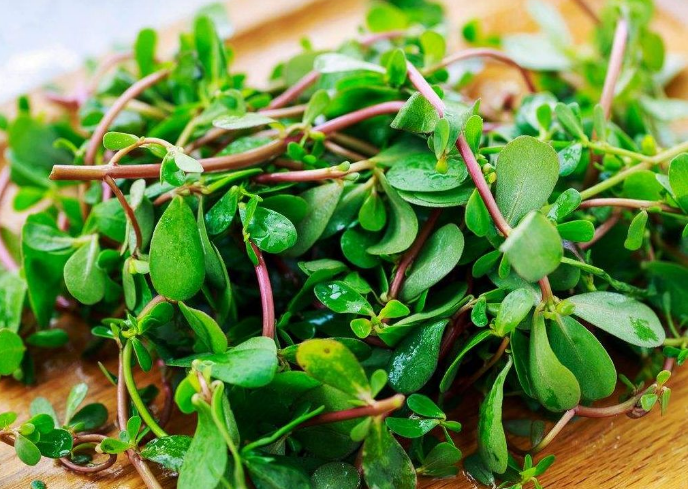 肺结节最怕三味中药