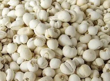 肺结节最怕三味中药