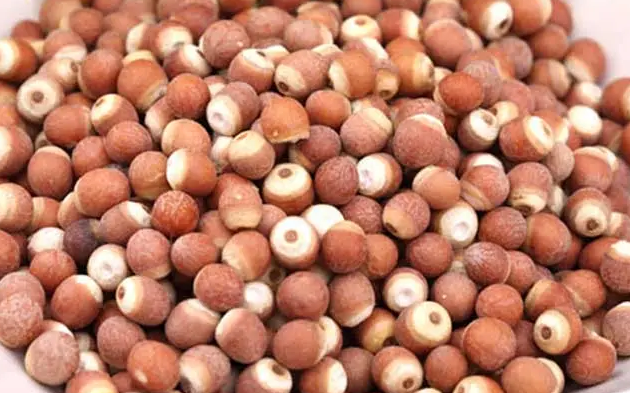 肾虚怎么补 肾虚怎么补