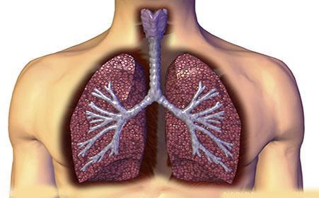 肺部小结节