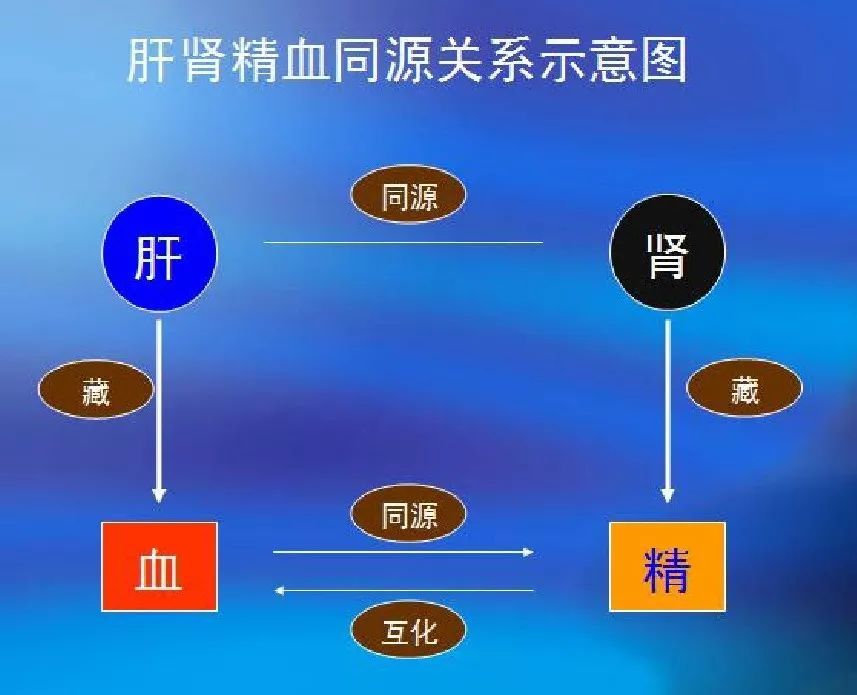 腰膝酸软 腰膝酸软