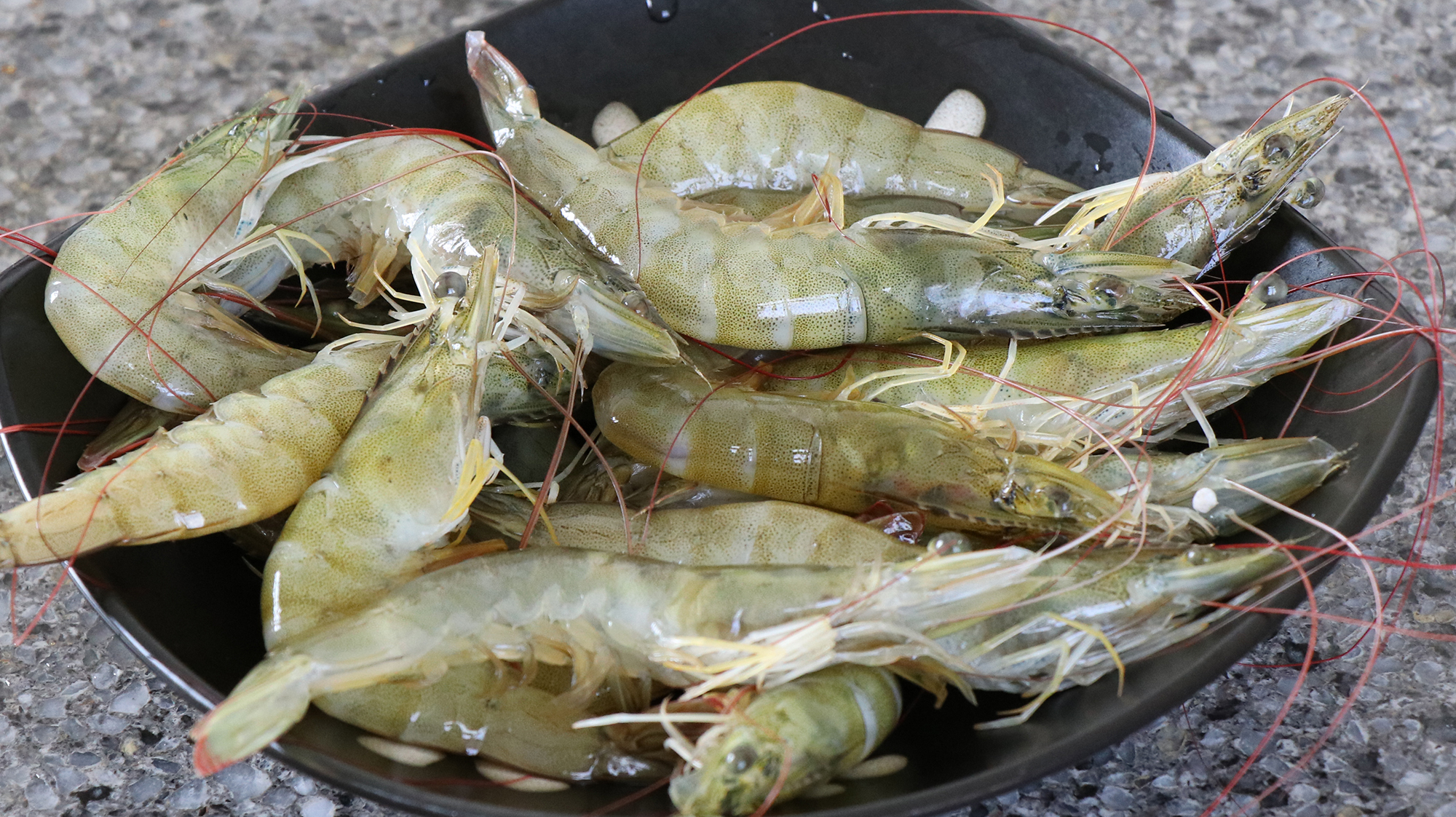 腰膝酸软 腰膝酸软