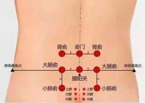 腰膝酸软 腰膝酸软