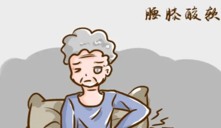 腰膝酸软 腰膝酸软