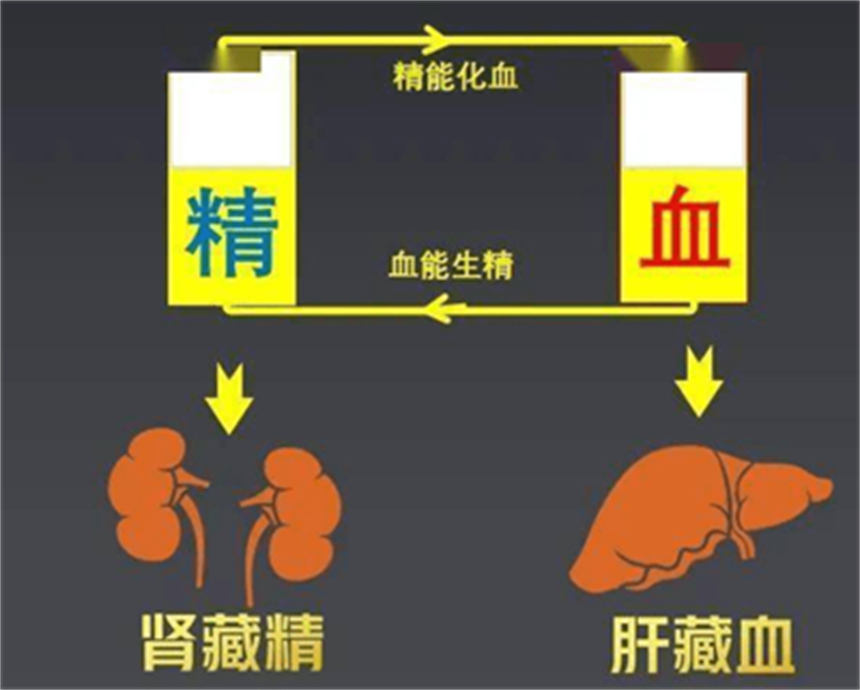 肾虚脱发 肾虚脱发