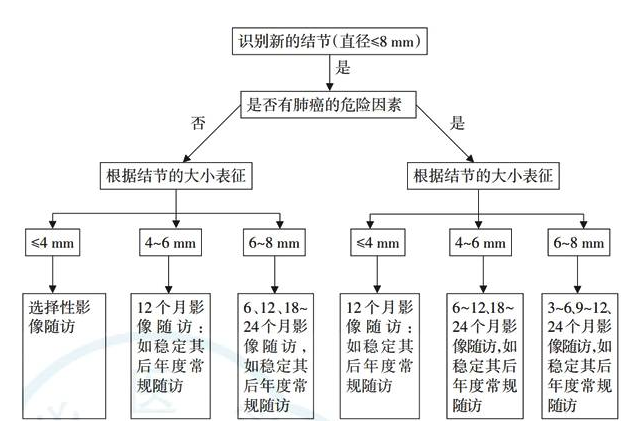 肺部小结节