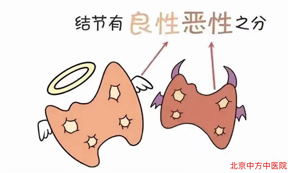 肺部结节 肺部结节