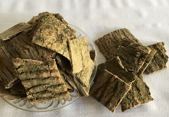 腰膝酸软 腰膝酸软