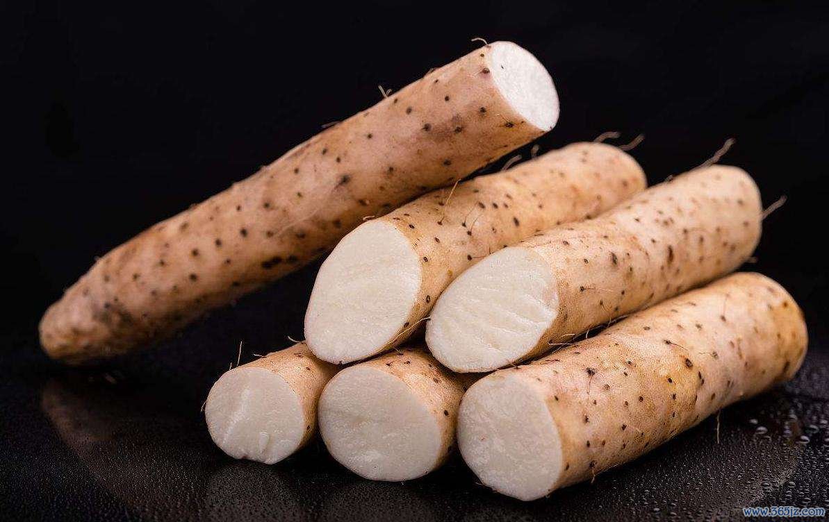 腰膝酸软 腰膝酸软