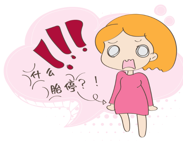 胎停育 胎停育