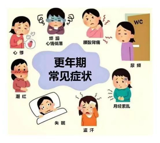 更年期综合征 更年期综合征