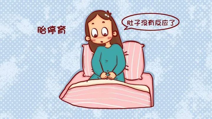 胎停育 胎停育