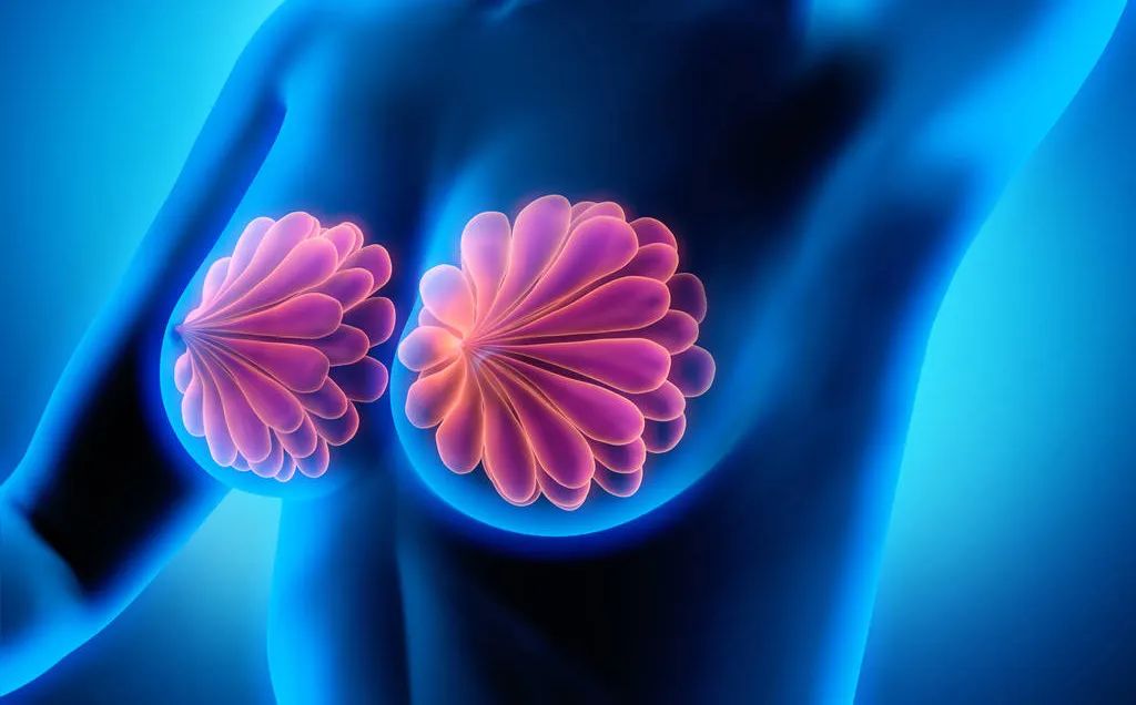 乳腺结节 乳腺结节