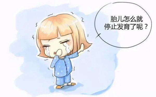 胎停育 胎停育