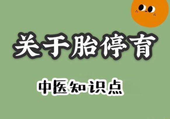 胎停育 胎停育