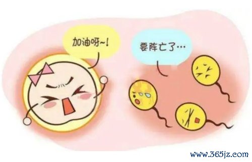 不孕不育 不孕不育