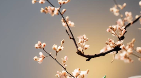 失眠多梦 失眠多梦